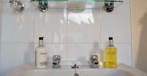 Bathroom Detail
